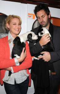 Katherine Heigl and her husband Josh Kelley playing with lil puppies during the Mutts To Melrose event on February 11th 2009 3