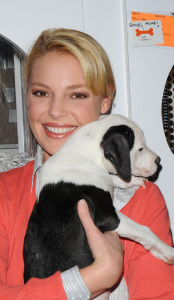 Katherine Heigl playing with lil puppies during the Mutts To Melrose event on February 11th 2009 2