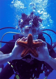 Jesus Luz scuba diving photo under the water which was released on January 3rd 2010 5