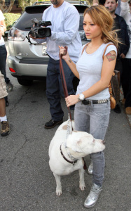 Tila Tequlia spotted infront of her house in Hollywood Hills with her dog in Los Angeles California on January 8th 2010 4