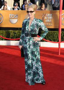 Meryl Streep at the 16th Annual Screen Actors Guild Awards on January 23rd, 2010