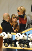 Britney Spears with her sons Sean Preston and Jayden along with her security at FAO Schwarz toy store in midtown New York City