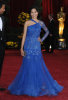 Freida Pinto arrives on the red carpet of the 81st Annual Academy Awards on February 22nd 2009 1