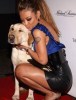 tila tequila kisses her dog at the tag the World Hosts PreOscar Charity Event on the 21st of february 2009