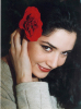 Serine abdel Noor large pictures and Wallpapers 9