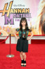 Anna Maria Perez de Tagle arrives at the premiere of Walt Disney Picture's Hannah Montana: The Movie