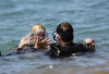 Paris Hilton scuba Diving in Maui with her boyfriend Doug Reinhardt on March 12th, 2009