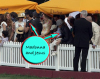 Jesus Luz attends a polo match on June 8th 2009 with Madonna 7