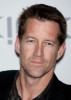 James Denton