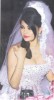 Haifa Wehbe picture from her wedding to Abu Hashima wedding dress