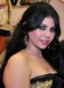 Haifa Wehbe at Cannes festival 2009 arrival photo