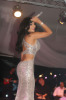 Haifa Wehbe photo wearing a shiny silver dress at her recent concert at Movinpick in Lebanon on August 15th 2009 1