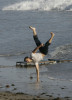 Taylor Lautner spotted during a magazine photoshoot on a Malibu beach on October 8th 2009 23