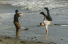 Taylor Lautner spotted during a magazine photoshoot on a Malibu beach on October 8th 2009 13