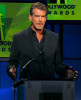 Pierce Brosnan presents the Breakthrough Actress award onstage during the 13th annual Hollywood Awards Gala Ceremony held at The Beverly Hilton Hotel on October 26th 2009 2