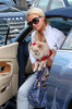 Paris Hilton spotted with her lil puppy on February 2nd 2010 as she left Mauros Cafe 4