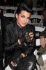 Adam Lambert attends the Blonds Fall 2010 Fashion Show during New York Fashion Week on February 17th 2010 in New York City 2