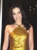 Coraima Torres photo wearing a golden dress